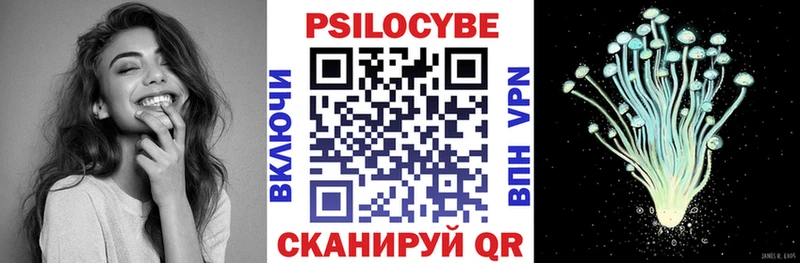 закладка  Лагань  Псилоцибиновые грибы мицелий 
