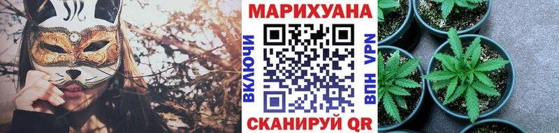 Бошки марихуана OG Kush Лагань